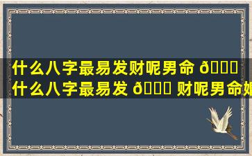 什么八字最易发财呢男命 🍀 （什么八字最易发 🐒 财呢男命婚姻）